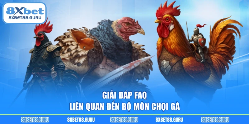 Giải đáp FAQ liên quan đến bộ môn chọi gà