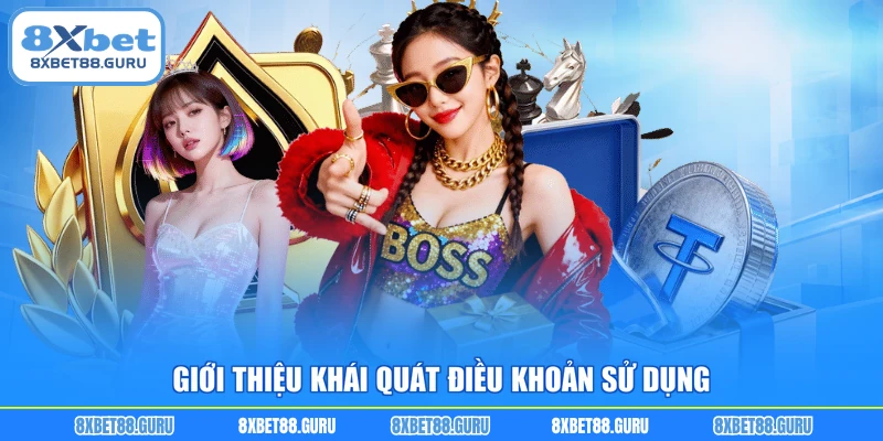 Giới thiệu khái quát điều khoản sử dụng
