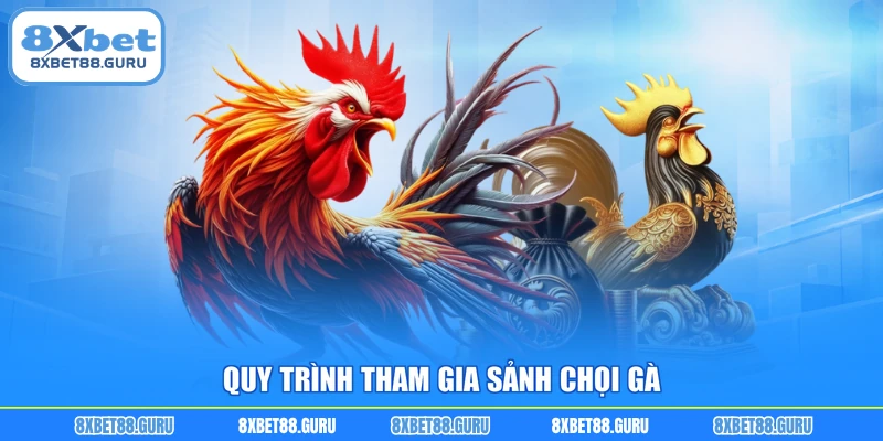 Quy trình tham gia sảnh chọi gà