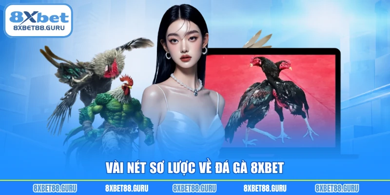 Vài nét sơ lược về đá gà 8XBET